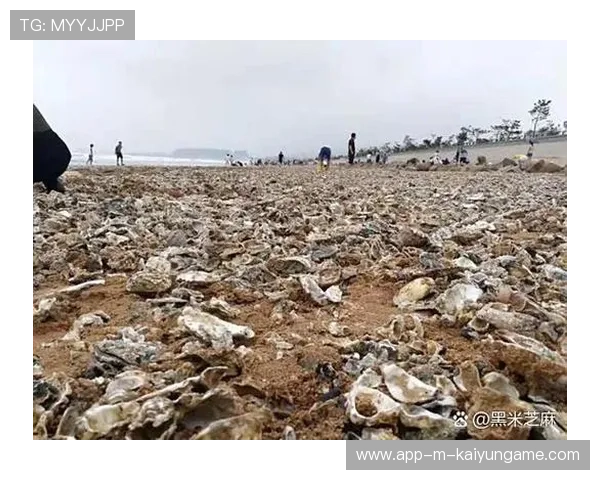 惠州海鲜大增，台风带动渔业发展，惠州台风最新消息今天