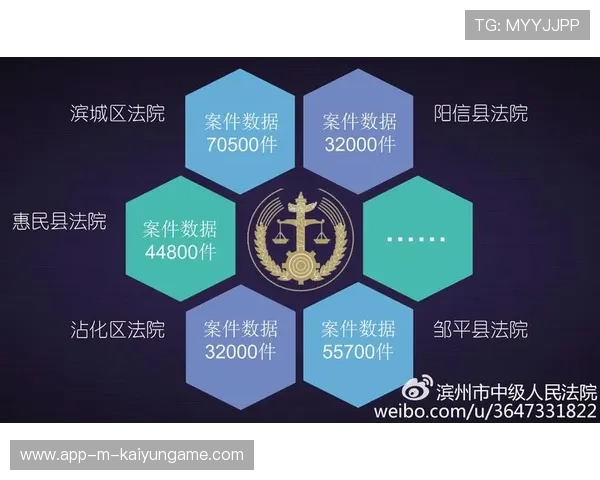 裁判判罚透明化平台上线接受公众监督与咨询，透明人裁判所