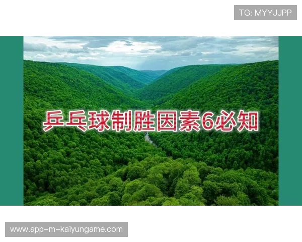 球员比赛经验成制胜因素